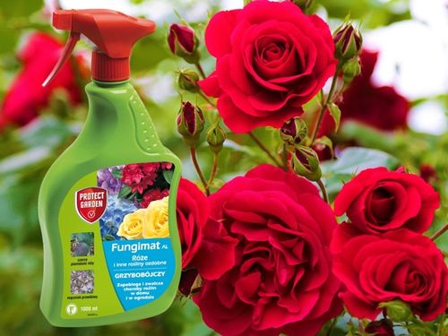 FUNGIMAT AL ŚRODEK GRZYBOBÓJCZY DO RÓŻ I ROŚLIN OZDOBNYCH 1L PROTECT GARDEN na Arena.pl