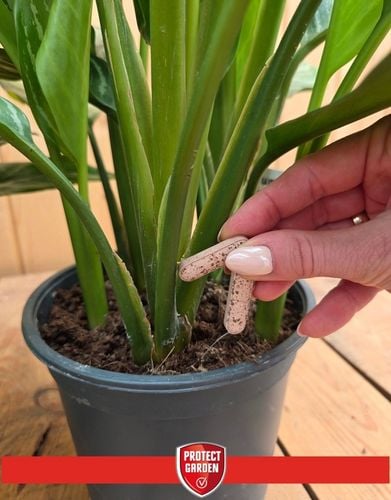 SANIUM PIN 2w1 Pałeczki Owadobójcze + Nawozowe na Ziemiórki Tarczniki na Arena.pl