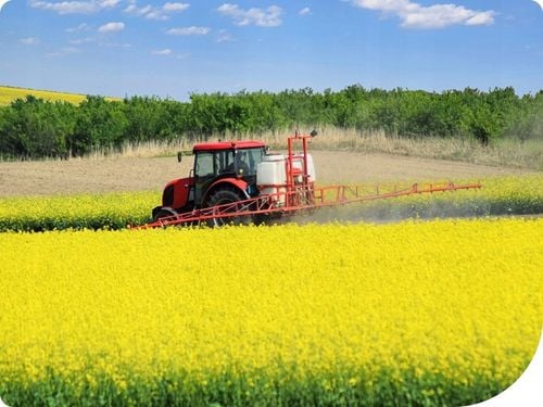 Mospilan 20SP 40g SUMI AGRO acetamipryd, stonka, mszyca, opuchlak, na Arena.pl