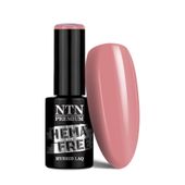 Lakier hybrydowy NTN Premium Day Dreaming Collection 5g Nr 58