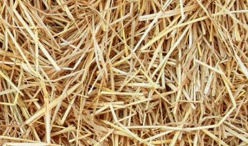 ŻWIREK PELET BIO EKO Słoma 15kg na Arena.pl