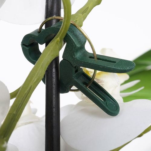 Klipsy do roślin  20 szt. na Arena.pl