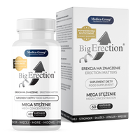BIG-ERECTION SILNA POTENCJA MOCNA EREKCJA NATURALNA KURACJA POPRAWA WZWODU