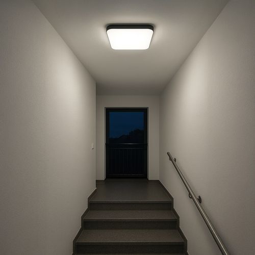Plafon Nemo Czarny 36W LED na Arena.pl