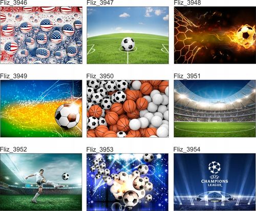 FOTOTAPETA KOSZYKÓWKA PIŁKA DO KOSZYKÓWKI 380x256 na Arena.pl