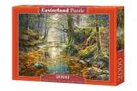 Przepiękne puzzle Castorland Wspomnienie jesiennego lasu - 2000 elementów