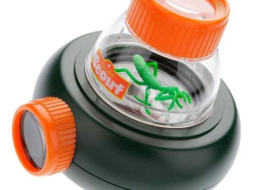 Obserwator owadów na Arena.pl