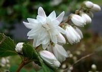 product-compare-52994697