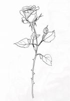 product-compare-59415414