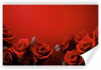 Fototapeta PREMIUM STRUKTURA ZMYWALANA czerwone róże na czerwonym tle