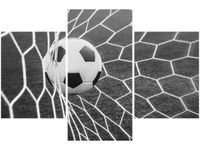 product-compare-58646912