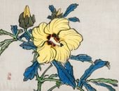 Plakat 65x50cm Hibiscus, Kōno Bairei Japoński Vintage do Salonu