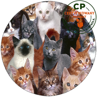 Opłatek na tort Koty