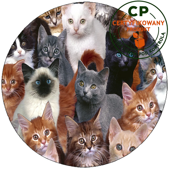 Opłatek na tort Koty zdjęcie 1