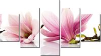 75CM 120 OBRAZ 5 ELEM RÓŻOWE MAGNOLIE ŚCIENNY DRUK