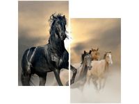 60X60CM OGIER DWU OBRAZ ŚCIAN