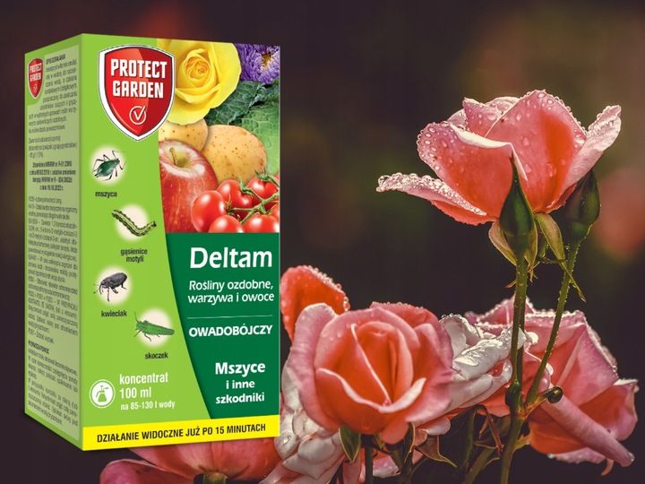 DELTAM ŚRODEK OWADOBÓJCZY MSZYCA KWIECIAK SKOCZEK GĄSIENICE MOTYLI 100ML zdjęcie 10