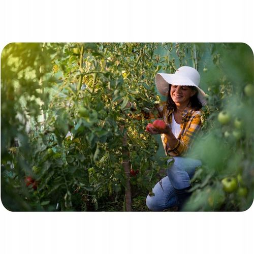 Tunel ogrodowy 2,5 x 4 m (10m2) Plonos na Arena.pl