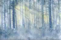 Fototapeta Las Drzewa Mgła AKWARELA do Sypialni 450x300