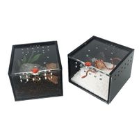 Terrarium Akrylowe Z Wentylacją - Dla Pająka - Transparentne (Czarny)