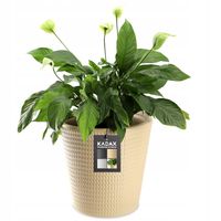 Donica Doniczka Kwietnik Osłonka Beżowa 40 cm