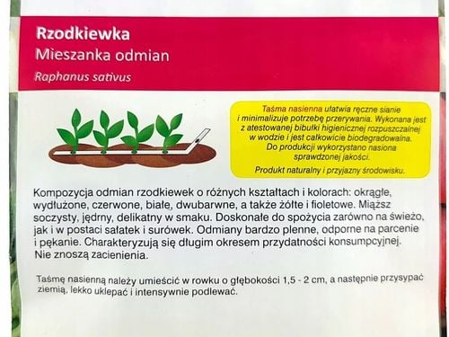 ZESTAW 2240 Sprawdzonych Nasion Warzyw na taśmie na Arena.pl