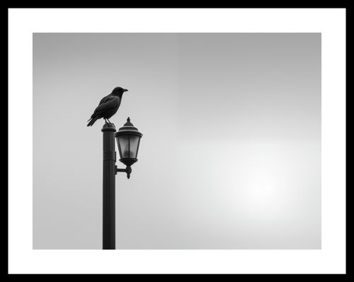 Plakat 40x30cm Samotny Postój Kruka na Arena.pl