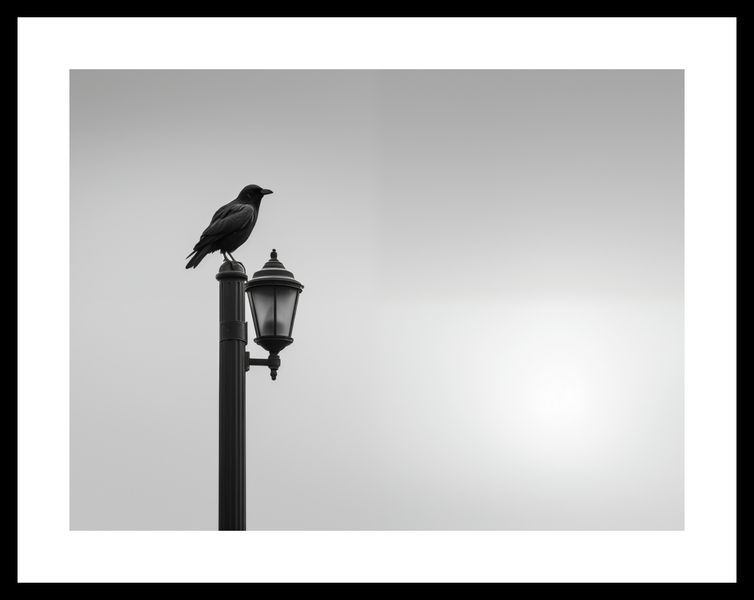 Plakat 40x30cm Samotny Postój Kruka zdjęcie 3