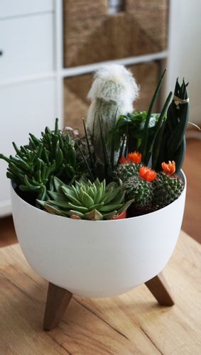 Doniczka, misa ROMA 240 | Kremowy na Arena.pl