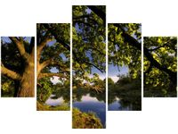 70 100CM OBRAZ 5 ELEM DĄB STAROPOLSKI DRUK PŁÓTNO