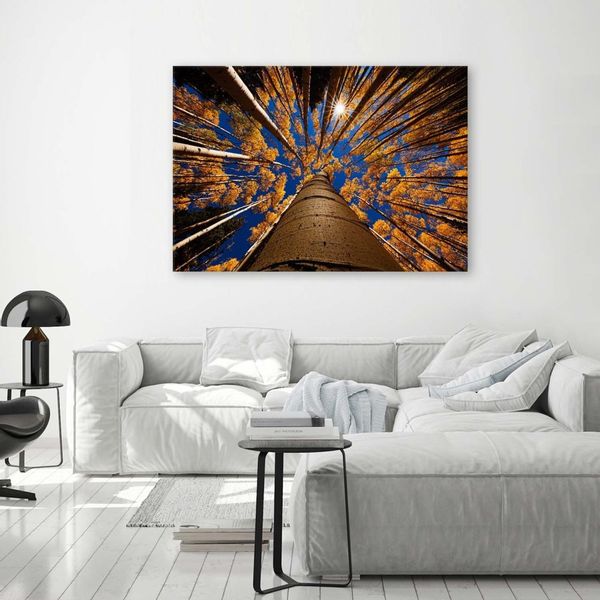 Emaga Obraz na płótnie, Korony drzew - 90x60 zdjęcie 2