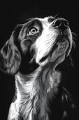 Plakat 40x60cm  Portret Zwierząt do Salonu | Beagle 2 | Czarno Białe