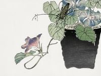 Plakat 100x75cm Chrząszcz Tnący Papier Morimoto Toko Japoński Vintage do Sa