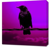 product-compare-59479976