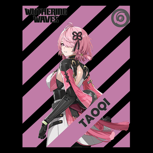 Koszulka Czarna Wuthering Waves - WYBIERZ FASON I KOLOR KOSZULKI Męska XL na Arena.pl