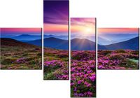 product-compare-58702840