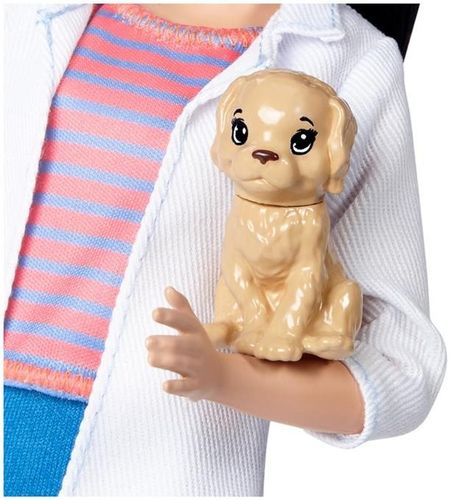 Mattel Barbie Weterynarz na Arena.pl