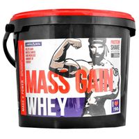 GAINER WHEY MASS WYSOKOKALORYCZNY BIAŁKO GAIN WPC Megabol 3000g wanilia