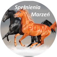 Opłatek na tort KONIE Koń Mustang Konik Kuc Urodziny Tekst Gratis