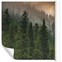 Fototapeta Las we Mgle Drzewa 3D do Sypialni 360x240