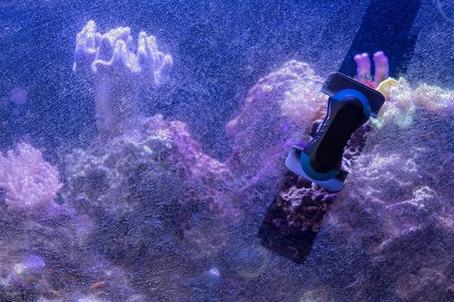 Tunze 0220.010 Care Magnet Nano na Arena.pl