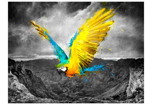 Fototapeta - Exotic parrot 200x154 na Arena.pl