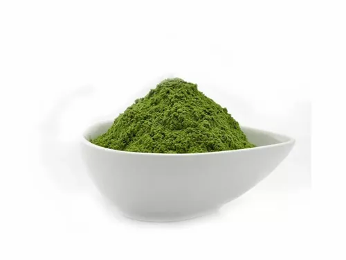 Chlorella Proszek 100g na Arena.pl