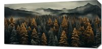 Obraz 60x30cm Mglisty Poranek
