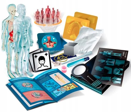 Super Anatomia. Naukowa zabawa na Arena.pl
