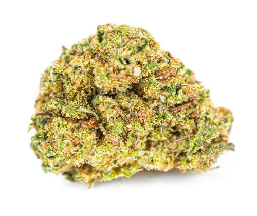 CBD SUSZ KONOPNY | GOLDEN BUD PREMIUM 50g na Arena.pl