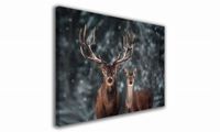 OBRAZ NA PŁÓTNIE 034 Jelenie zimą 40x30cm