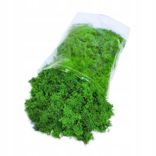 Mech CHROBOTEK RENIFEROWY fiński 500g ŚCIÓŁKA jasno zielony na Arena.pl