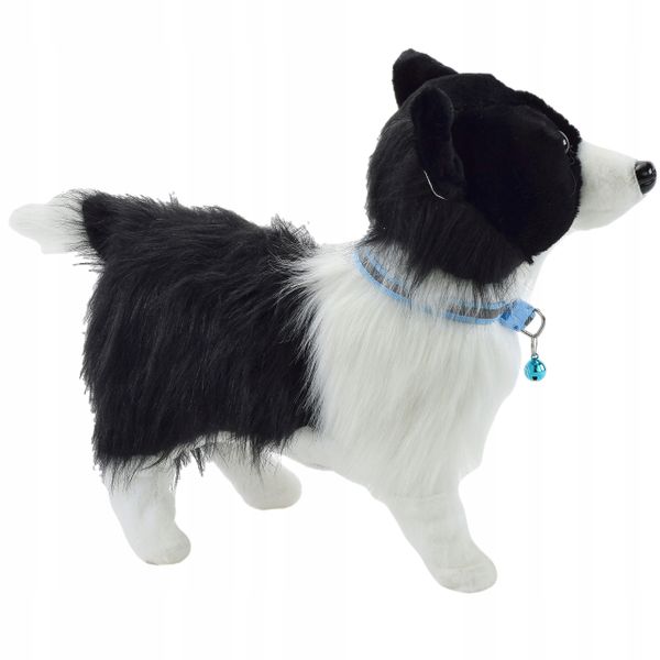 PIES INTERAKTYWNY NA SMYCZY CHODZI SZCZEKA BORDER zdjęcie 4