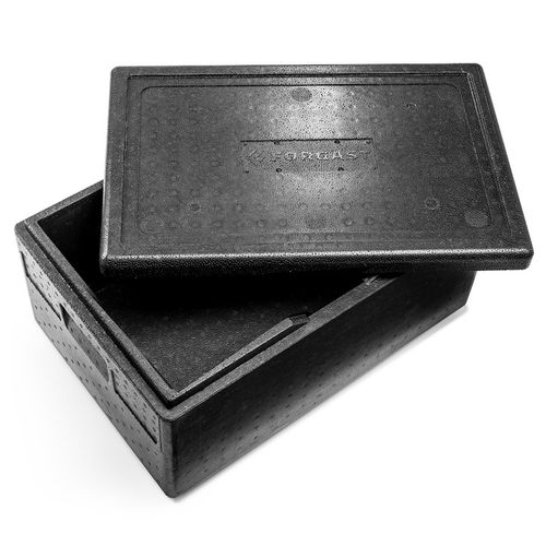 POJEMNIK TERMOIZOLACYJNY GN1/1 200 FORGAST FG05411 na Arena.pl